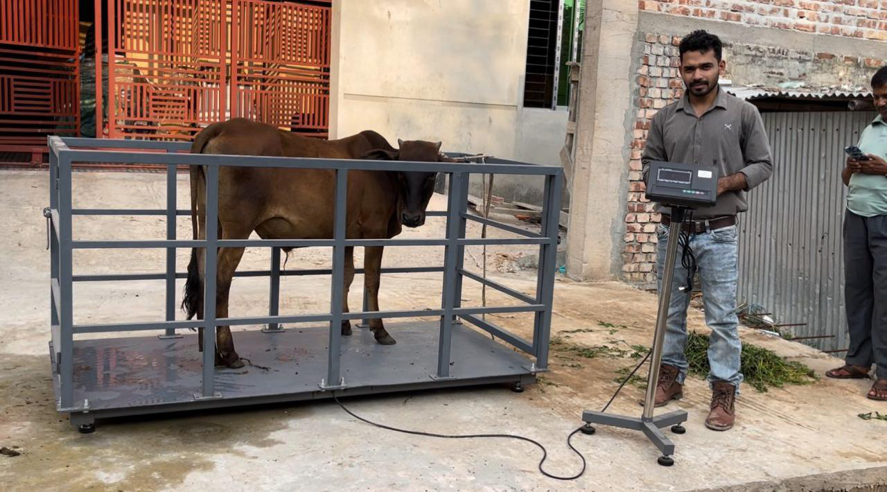 Animal Weight Scale